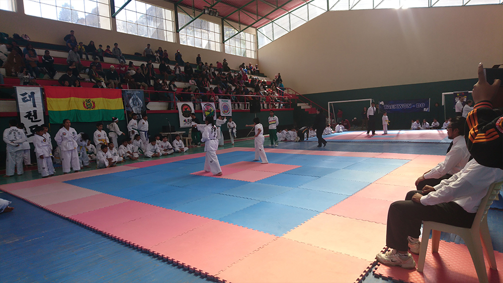 ../assets/images/maferfitgym/Taekwondo ITF/2.jpg